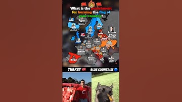 What is the punishment for burning the flag of your country?🔥 #europe #geography #mapping #memes