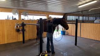 Grooming and Saddling