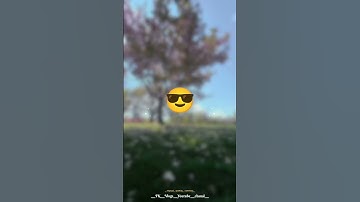 Thumbnail of BEWAFA SANAM RE TOY DELE DHOKHA latest nagpuri short stutas video song present by TK Vlogs