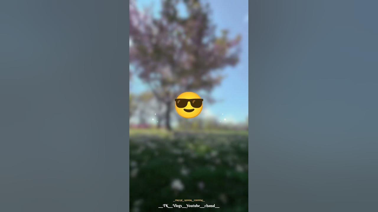 BEWAFA SANAM RE TOY DELE DHOKHA latest nagpuri short stutas video song present by TK Vlogs