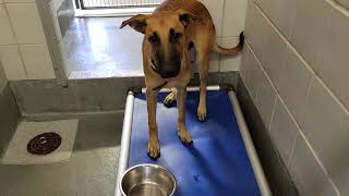 acs A681834