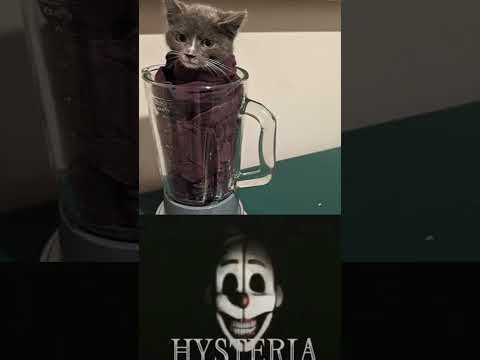 Cat In Blender