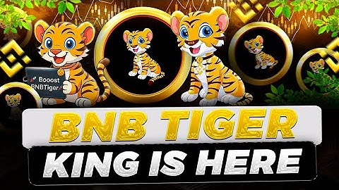 ( PART 2) WHAT IS BNB TIGER? FULL REVIEW | EXPLAINED BY PROFESSOR HUSSEIN 2025 (DYOR)
