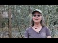 What Floridians can learn from one Gainesville woman’s water catchment system