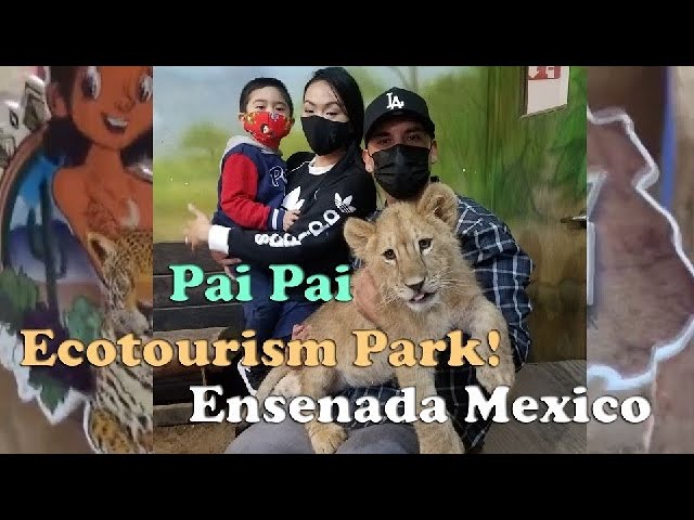 Pai Pai Ecotourism Park - All You Need to Know BEFORE You Go (with