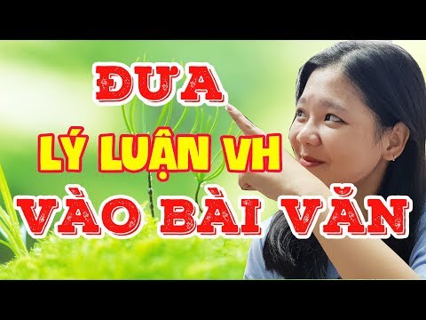 Video: Cách Mở Các Khóa Học Bồi Dưỡng