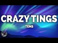 Tems - Crazy Tings (Lyrics)