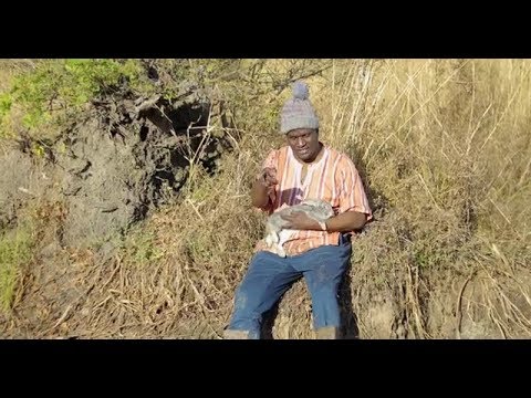 Prophet T Freddy Munyama WeGonzo Official Video