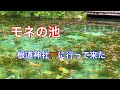 【モネの池】岐阜県関市板取にある根道神社⛩に行って来ました