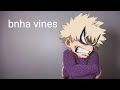 BNHA Vines that makes me happy