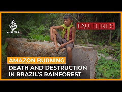 Amazon Burning: Death and Destruction in Brazil's Rainforest | Fault Lines