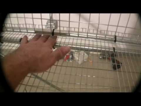 Breeder Quail Cage.mp4 - YouTube