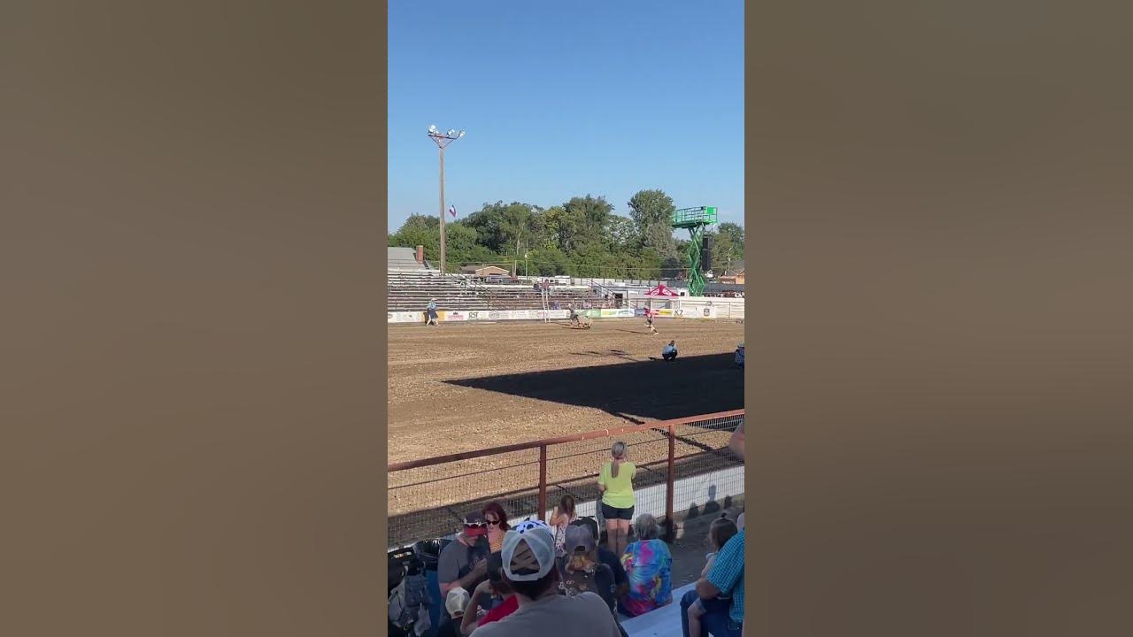 Kids riding sheep Mutton busting at the Owyhee County Rodeo