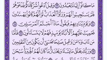 تكرار الوجه التاسع من سورة القصص كل آية ٣مرات للشيخ فارس