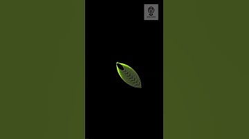 ⚡️Flower 🌼 Animation Using HTML And CSS l #shorts #viral #htmlcss #trending #flower #design #vscode