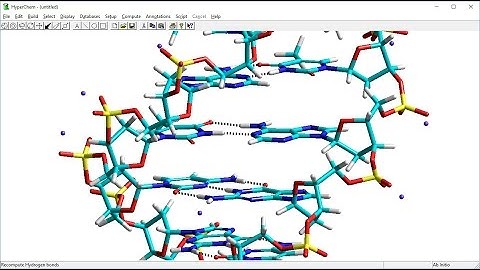 Build dsDNA with Hyperchem
