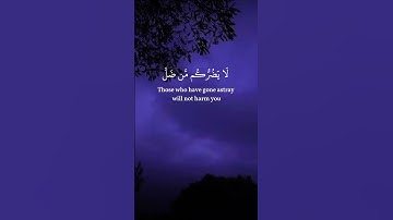 سورة المائدة الآية 105 بصوت القارئ محمد الفقيه