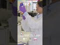 Neoplasias Malignas das Vesículas Seminais