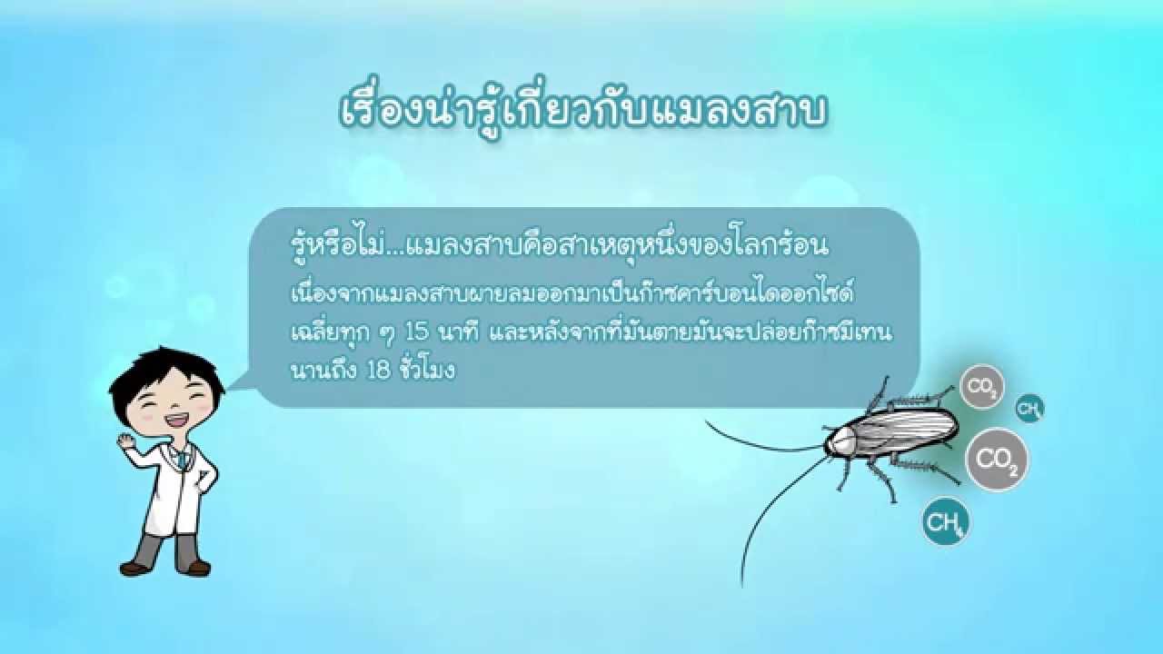 [Clip] Animals speak [by Mahidol] รวมมิตรเรื่องสุดน่าทึ่งของแมลงสาบ ที่เราไม่เคยรู้มาก่อน
