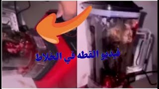 فيديو القطه في الخلاط | رجل صيني يضع قطه في الخلاط