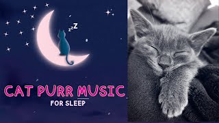 Relaxing Music For Cats - Cat Purring Sounds With Relaxing Music by Cats are Jerks 16 views 1 year ago 1 hour