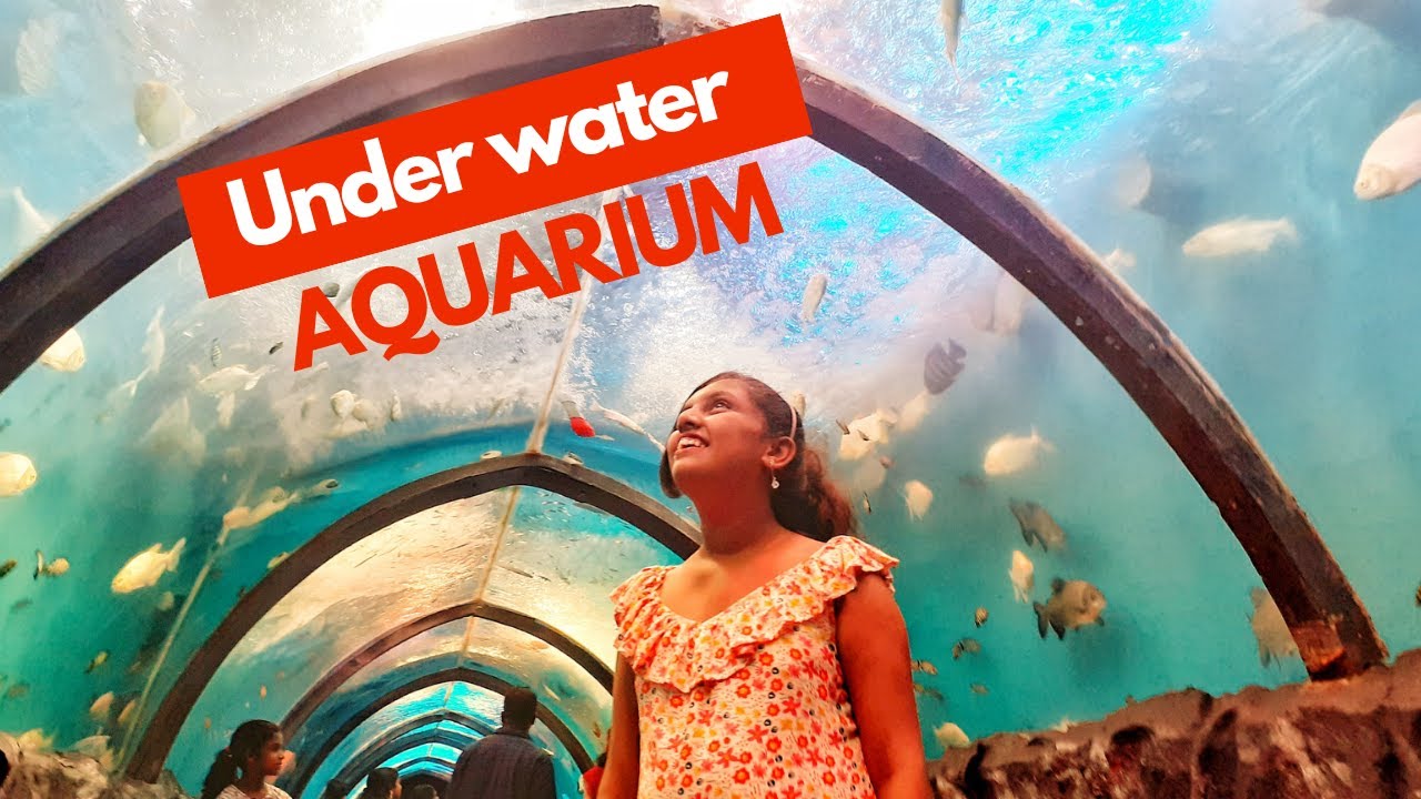 Underwater tunnel aquarium kerala sahithya sudeesh vlogs YouTube