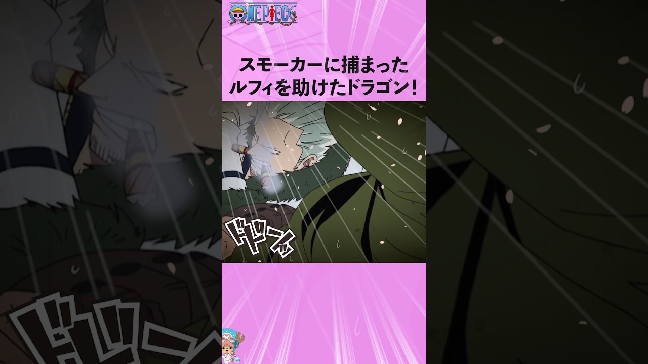 スモーカーに捕まったルフィを助けたドラゴン！#onepiece #ワンピース #アニメ #雑学
