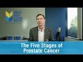 The Five Stages of Prostate Cancer | Prostate Cancer Staging Guide