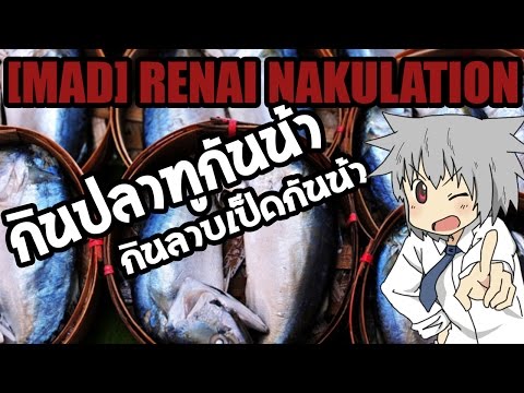 [MAD]Renai Nakulation - Circulation for what!?  -Thai Subtitled