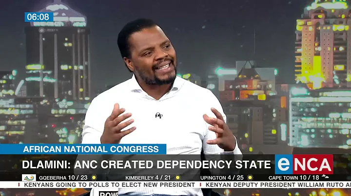 ANC created dependency state: Dlamini