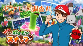 ポケモンの世界へレッツゴー　ホルビーに会いたい　【ポケモンスナップ】