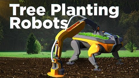 Impressive Tree Planting Robots of Today & Tomorrow
