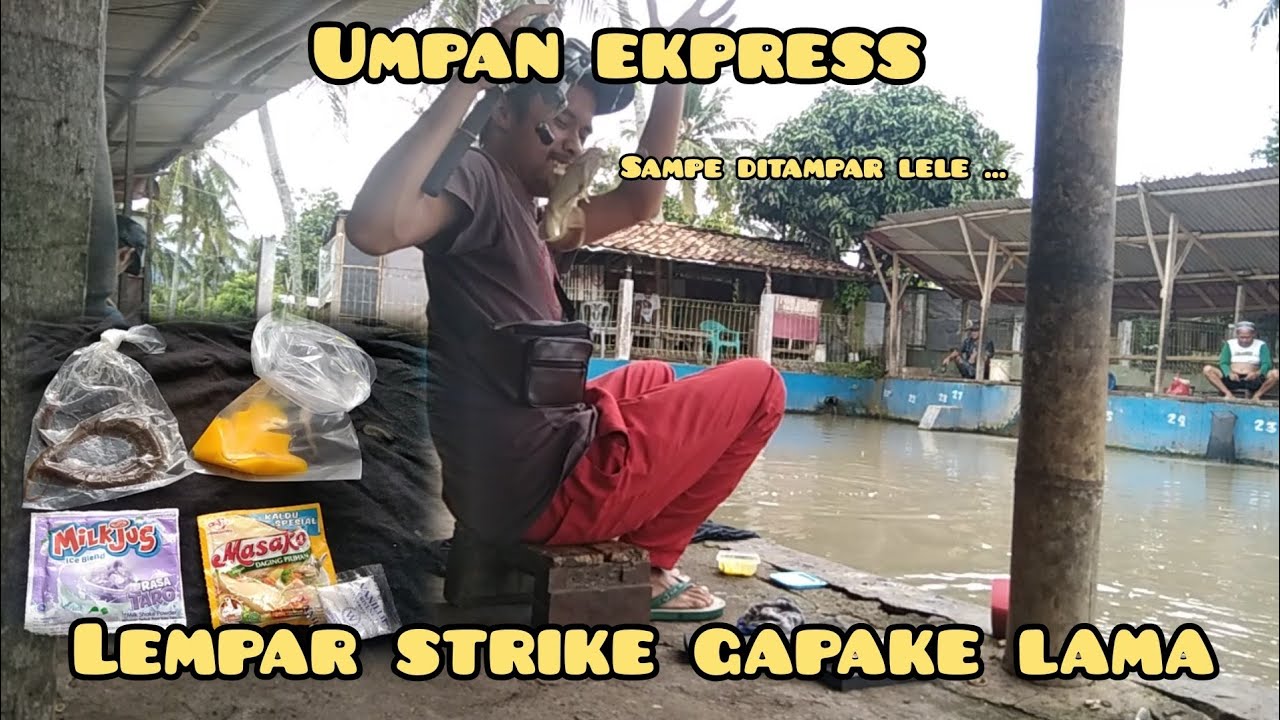 AWALNYA DIRAGUKAN TAPI SIAPA SANGKA INI UMPAN GACOR!!!!