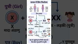 class 10 imp science questions wth answer #CBSE #ncert #mpboard #10thscience #trending #10thscience