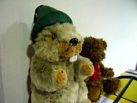 Murmeltiere jodeln !