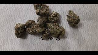 THCA SMALL BUDS..OOG HONEST TO REVIEW THCA #THCAREVIEW 
