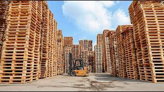 How 130-Year-Old Sawmill Turns High-Quality Oak Logs to Best Lumber | Ultimate Europe Mill Tour