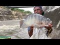 Pesca de tilapias de 3 kilos hasta con la mano en el río