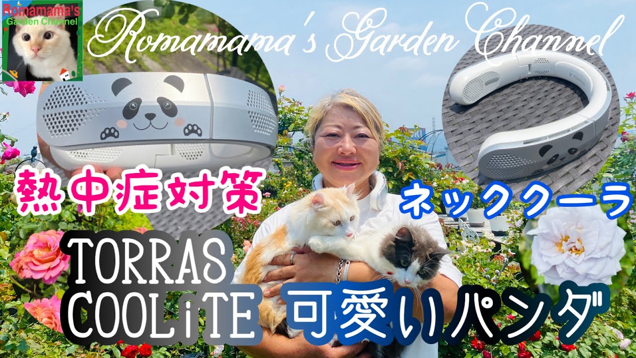 【熱中症対策】パンダのネッククーラーで上野公園のパンダに寄付をしよう　#coolite #ネッククーラー