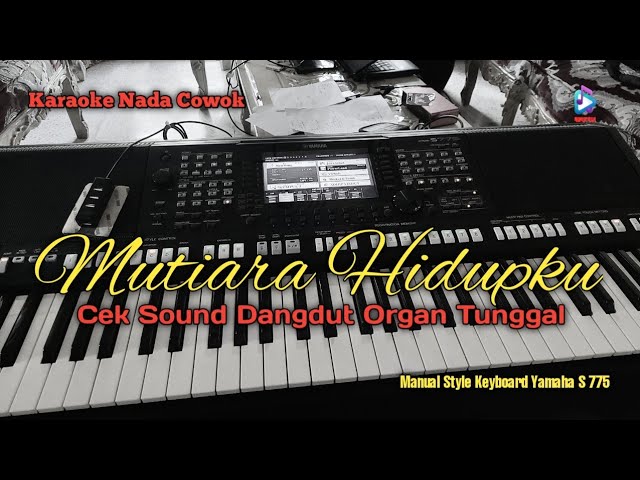 Karaoke Dangdut Organ Tunggal  Mutiara Hidupku  Nada Cowok class=