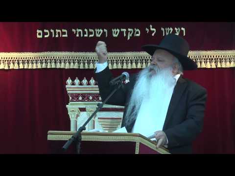 כפי תהיה | סדרת זיכוי הרבים | הרב דניאל זר