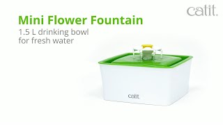 Fontaine à eau pour chat : Test de la Flower fountain de Catit - Happiness  Maker