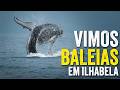 Vimos Baleias Jubarte em Ilhabela! Roteiro Completo: Castelhanos, 4x4 e Passeio de Barco