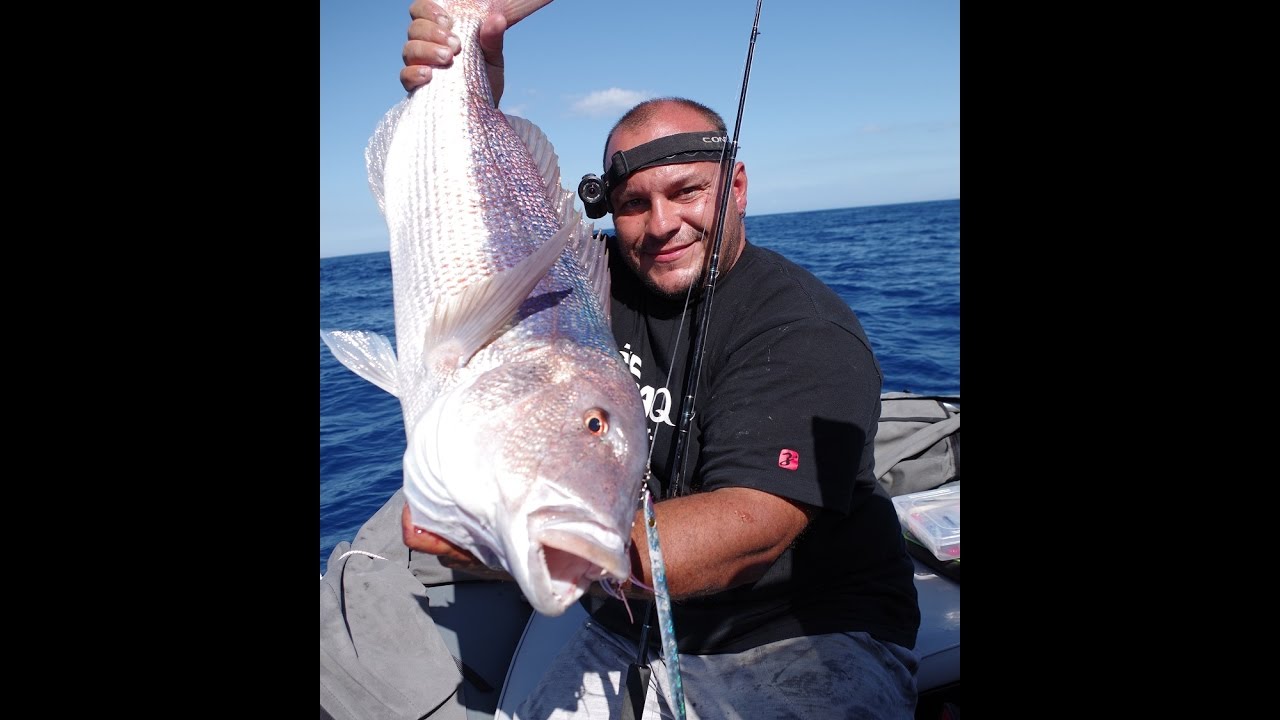 Jigging: Live strikes on a short noon expedition. Feat. ZENAQ Whippy FB 63-5