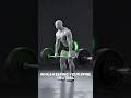 3D Deadlift Form Guide: Build Stronger Glutes with Perfect Technique