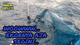 besar banget!!ikan hiu paus tersangkut di jaring-nelayan story