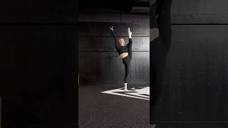 Mobility Test: Pass or Fail? #mobility #mobilityroutine #flexibility #hipmobility #flexibilitytest