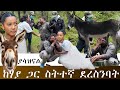 የሰርጓ ቀን ከእንስሳ ጋር እንደተጋባች ተደረሰባት
