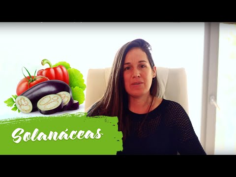 Video: Verduras de la familia de las solanáceas: una lista de verduras de las solanáceas