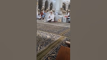 حلقات تصحيح التلاوة بالمسجد النبوي الشريف #المسجد_النبوي #المدينة_المنورة #المملكة_العربية_السعودية